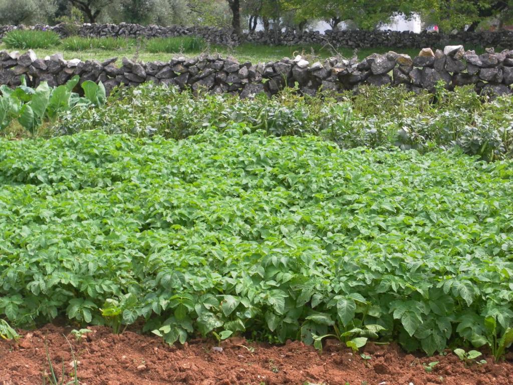 Mendiga Retiro Da Avo Lidia - Turismo Rural المظهر الخارجي الصورة