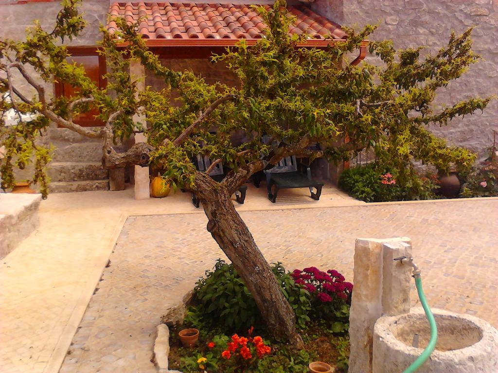 Mendiga Retiro Da Avo Lidia - Turismo Rural المظهر الخارجي الصورة