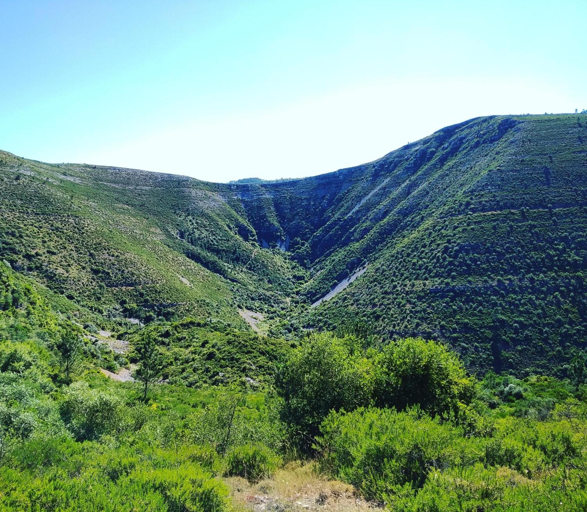 Mendiga Retiro Da Avo Lidia - Turismo Rural المظهر الخارجي الصورة